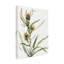 Art sur toile, bolognaise, bologle Mary Vaux Walcott-103100491