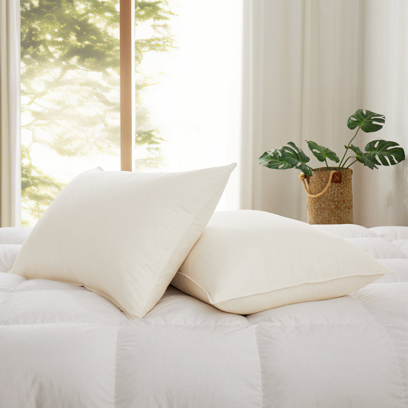  Reversible Pillow Insert, 20"H x 36"W