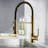 GAWEZA Pull Down Kitchen Faucet-80366155