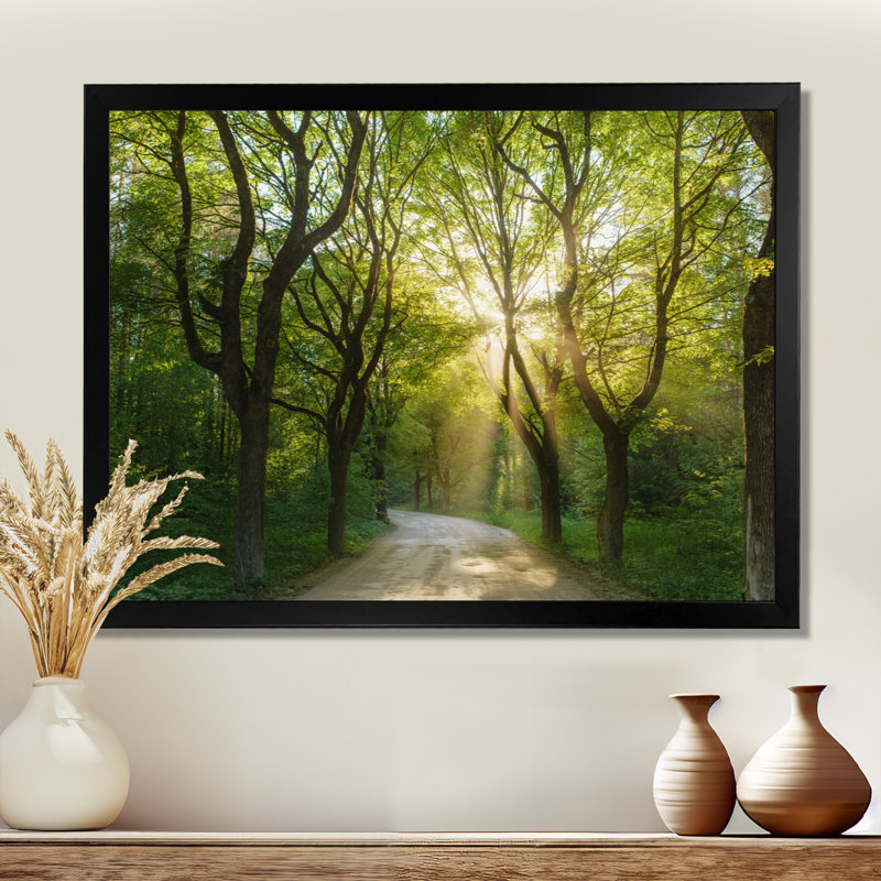 Soirée dans la forêt verte - photographie, H 34 po x l 44 po, Cadre photo noir