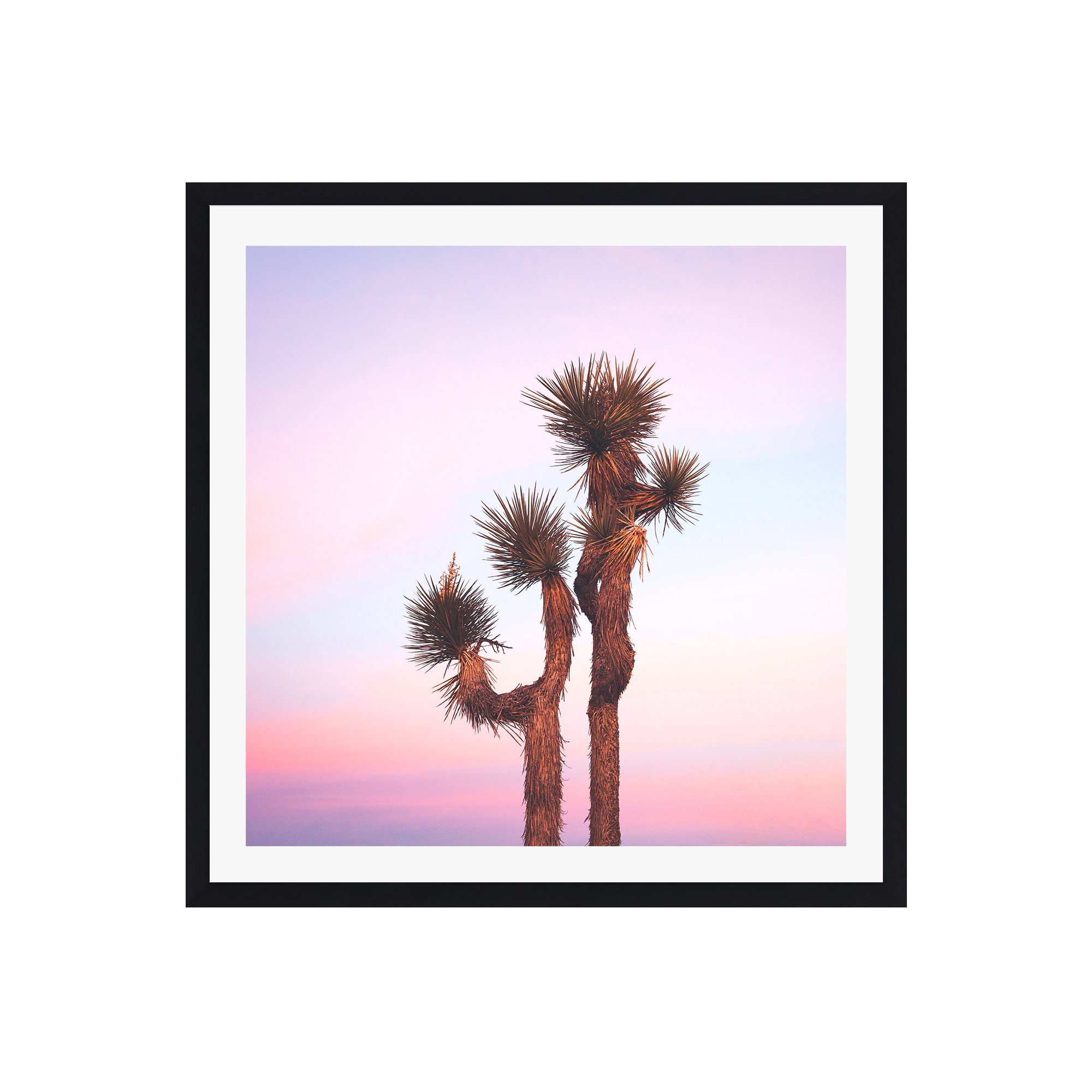Desert Skies by Catherine McDonald, 30" H x 30" W x 2" D, Black Single Picture Framed, Yes