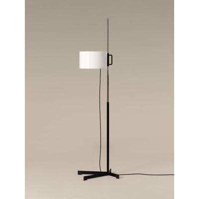 67.3" Floor Lamp