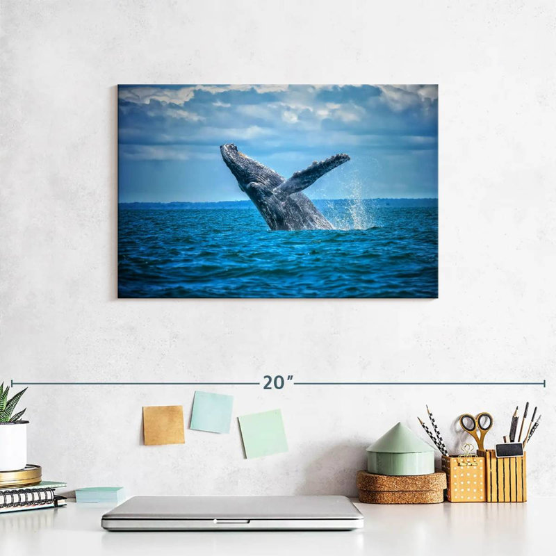 Pacific Humpback Whale, 8" H x 12" W