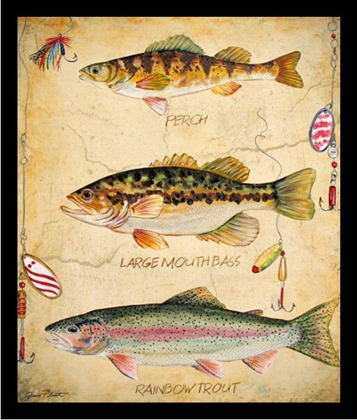 Highland Dunes Fish Hooks, Perch, Large Mouth Bass And Rainbow Trout Poster  Framed On Paper by Jean Plout Print & Reviews
