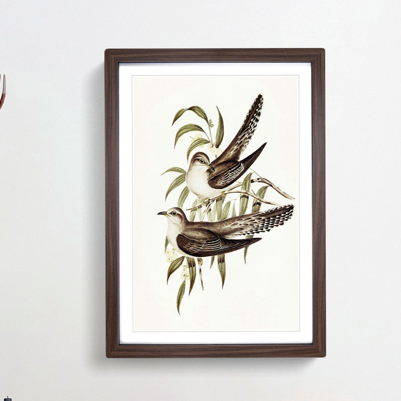 Unadorned Cuckoos by Elizabeth Gould - Picture Frame Painting Print, 48cm H x 36cm W x 2cm D, Walnut Framed