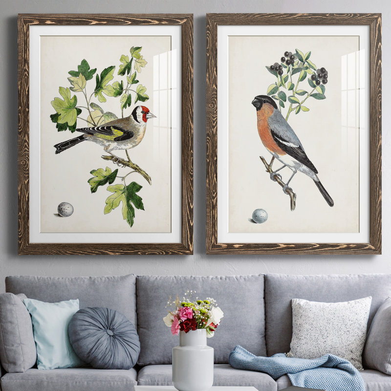 Oiseau antique, botanique et œuf III - ensemble de 2 reproductions d'art sur papier encadré, H 31,5 po x l 47 po x P 1,5 po