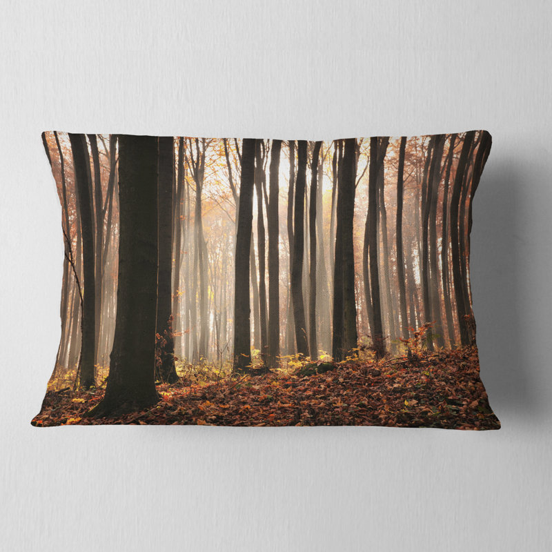 Dark Thick Woods in Fall Forest - Forest Printed Throw Pillow