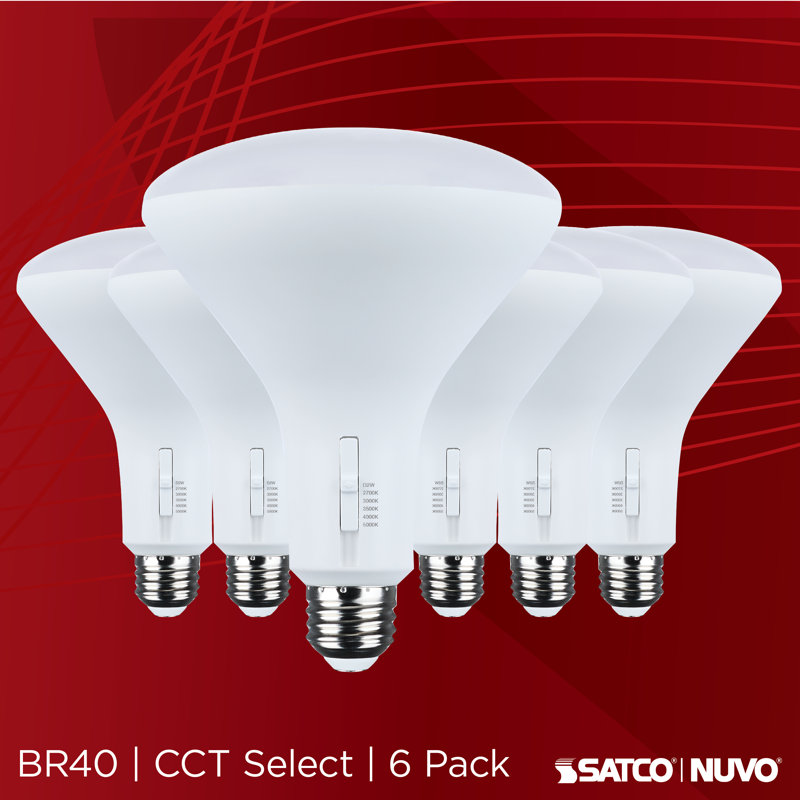 11 Watt LED Bulb