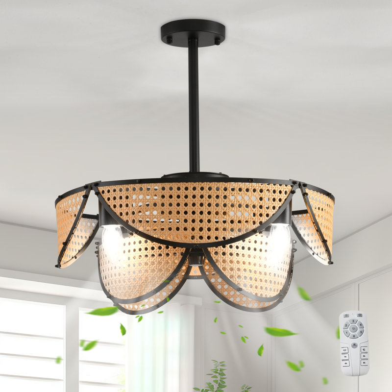 Ventilateur de plafond en cage en rotin de style bohémien 20,08 "avec ensemble d'éclairage et télécommande Ashelynn