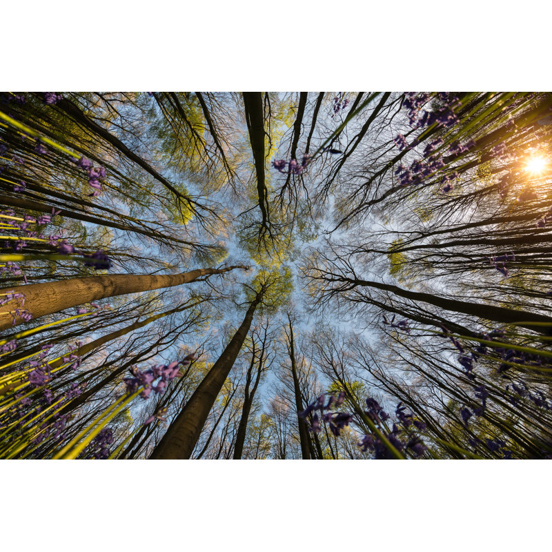 Forest With Purple Flowers by Caputolaurent - Wrapped Canvas Print, 30cm H x 46cm W