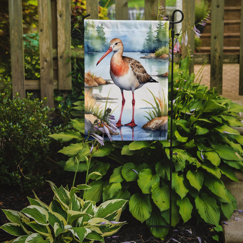 Drapeau de jardin Surfbird Bird, Barge hudsonienne