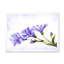 Fleurs bleues - Peinture sur toile-60160069-60160068