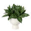 Faux Sanseveria Plant in Ceramic Pot