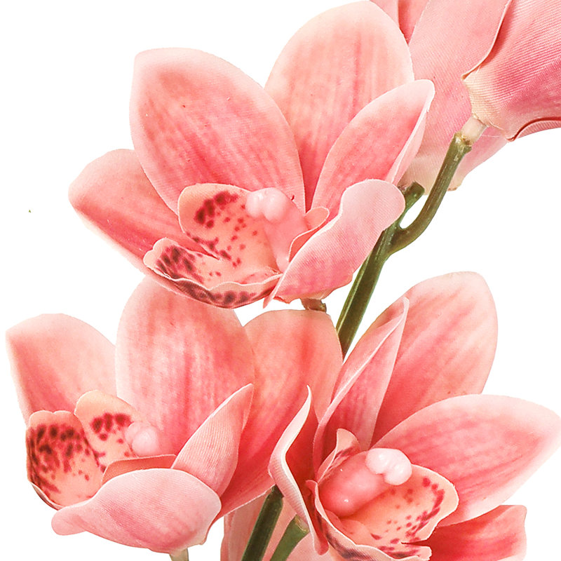 Artificial Cymbidium Orchid Plant Flower Stem Spray, Coral