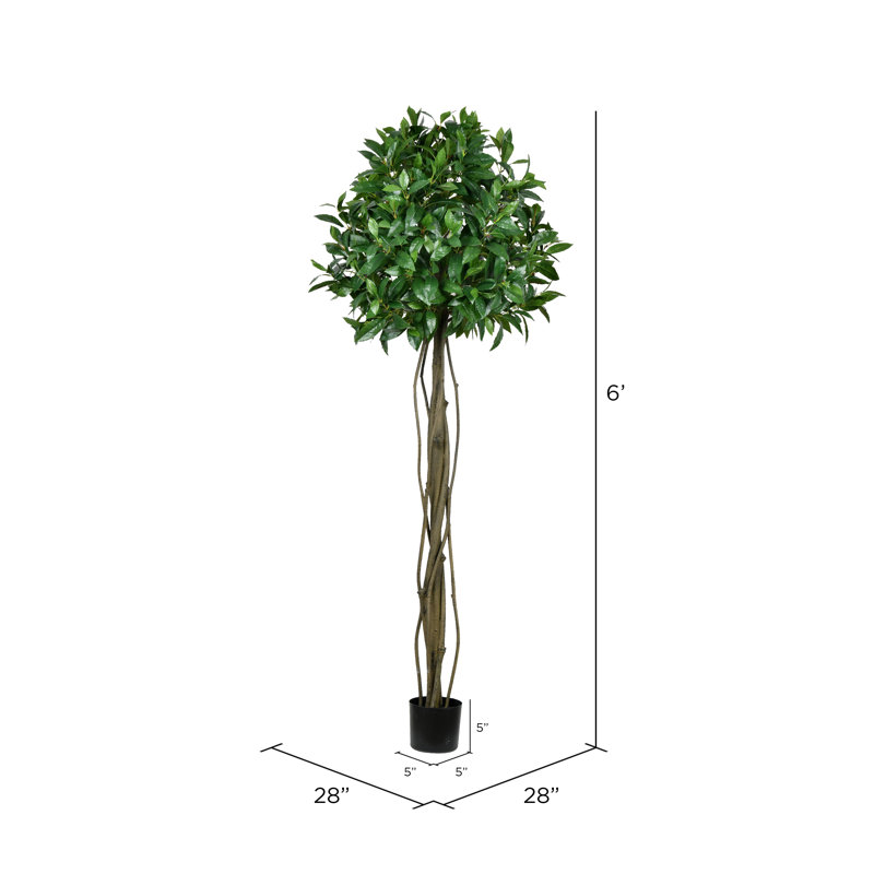 Artificial Potted Bay Leaf Tree, 72" H x 28" W x 28" D