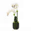 Orchid Floral Arrangement in Pot