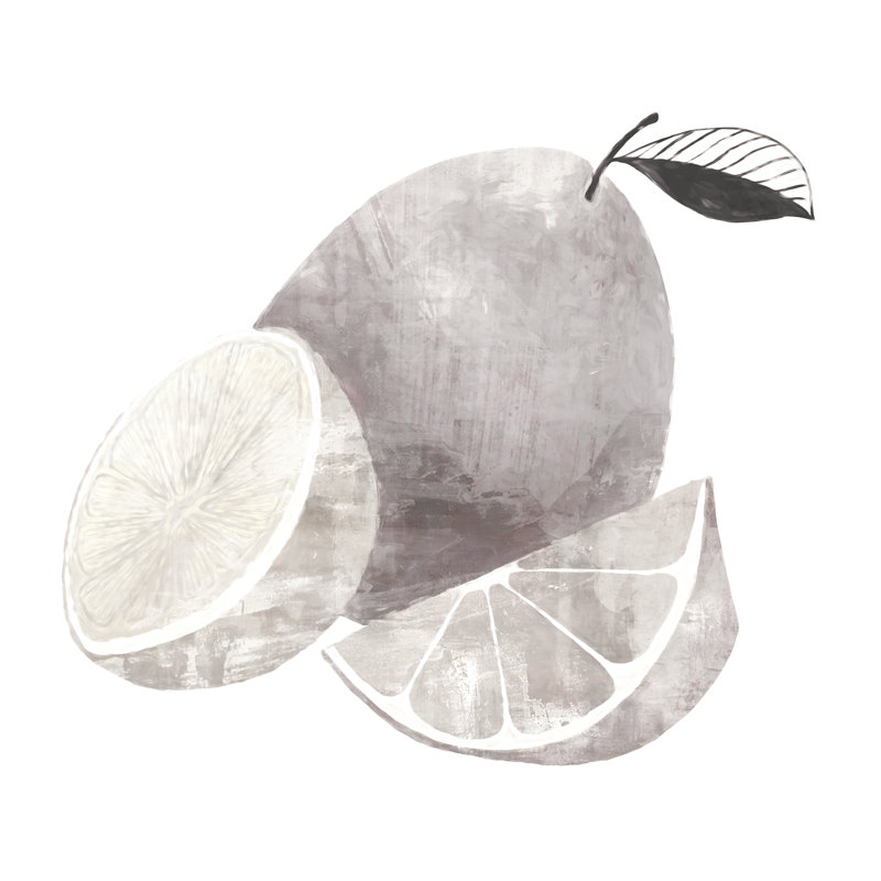 Grey Shaded Fruit With Black And White - Wrapped Canvas Painting, 76cm H x 76cm W x 3.8cm D