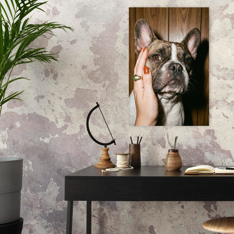 Art rétro, caresser un bouledogue français rétro, H 24 po x l 16 po, Beige/brun
