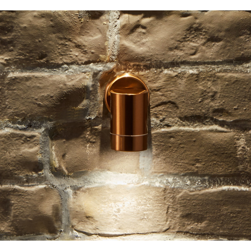 Alysia Outdoor Armed Sconce