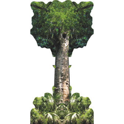 H13694 «The Pond Pond Cypress Florida Tree» en carton découpé