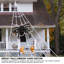 Décoration d'Halloween 59 po avec toile d'araignée géante 59 po H 275,6 po x l 216,5 po-243168738