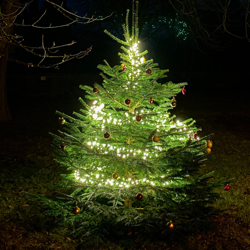 Crisangel Outdoor 200 - Bulb Solar Powered LED Wide Angle LED String Light