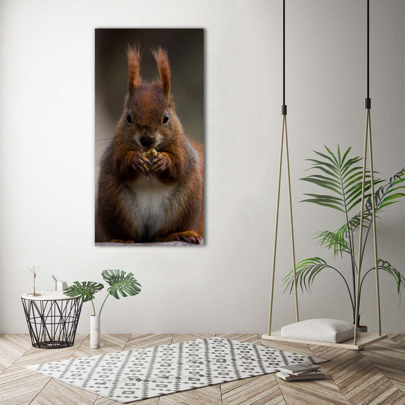 Squirrel - Wrapped Canvas Print