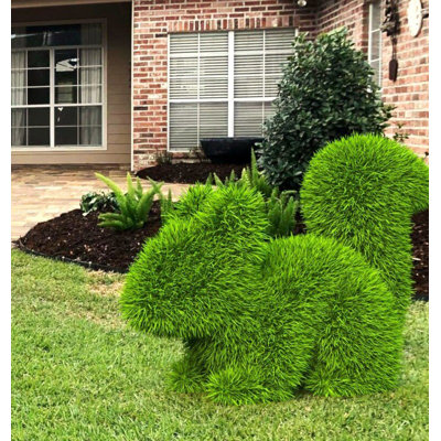 Topiaire écureuil vert extérieur