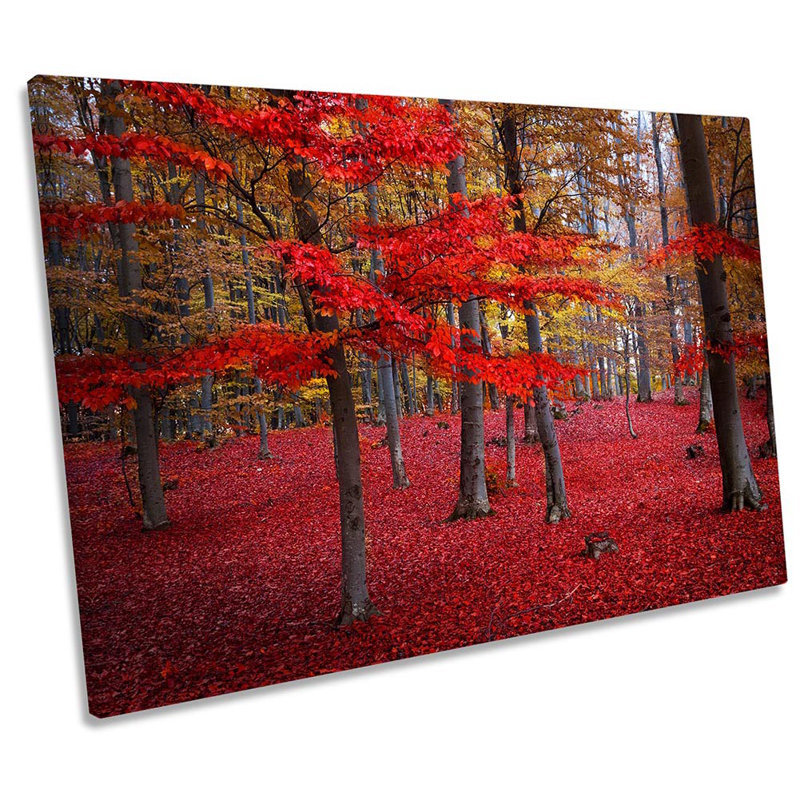 Red Landscape Forest - Wrapped Canvas Print, 30.5cm H x 45.7cm W x 2cm D