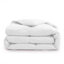 Édredon en duvet de coton biologique toutes saisons Puredown-87748960-98876735