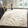 Benedetti Area Rug