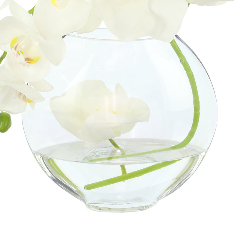 Orchid in Flat Glass Vase