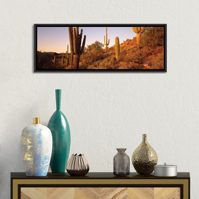 Saguaro Cactus On Hillside, Superstition Mountains, Arizona, USA by Panoramic Images - Panoramic Gallery-Wrapped Canvas Giclée on Canvas