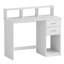 Raedon Computer Desk-320397274