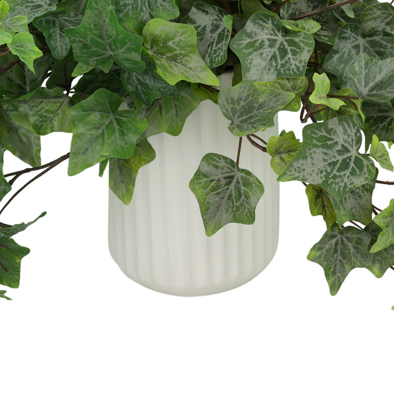 Trailing Ivy in Ribbed Ceramic Vase
