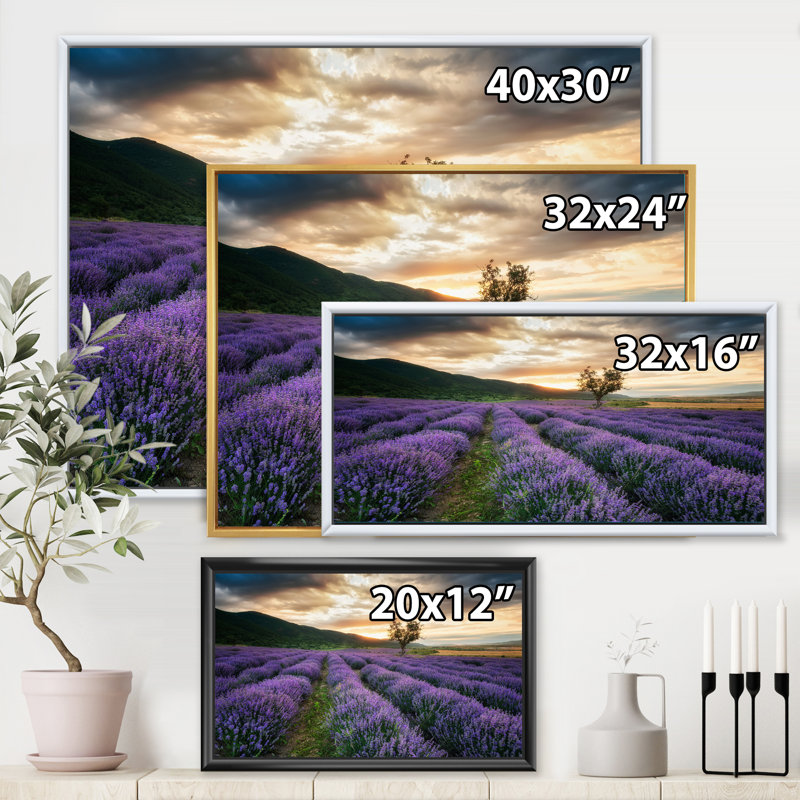 Sunrise & Dramatic Clouds Over Lavender Field VII - reproduction de cadre flottant sur toile, H 24 po x l 32 po x P 1 po