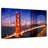 Lilie Golden Gate Bridge Composing-107703576
