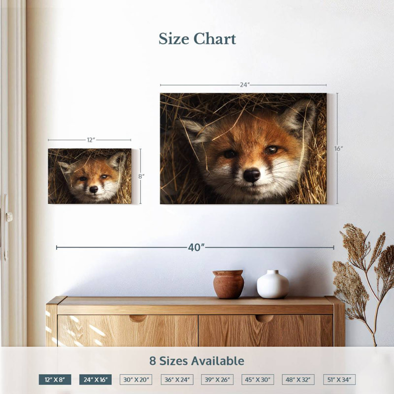 Renard coucou, H 16 po x l 24 po