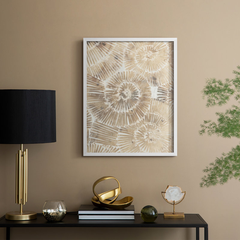 Fossil Nautilus II, reproduction encadrée - bois massif, H 30 po x l 24 po, Blanc