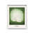 White Framed
