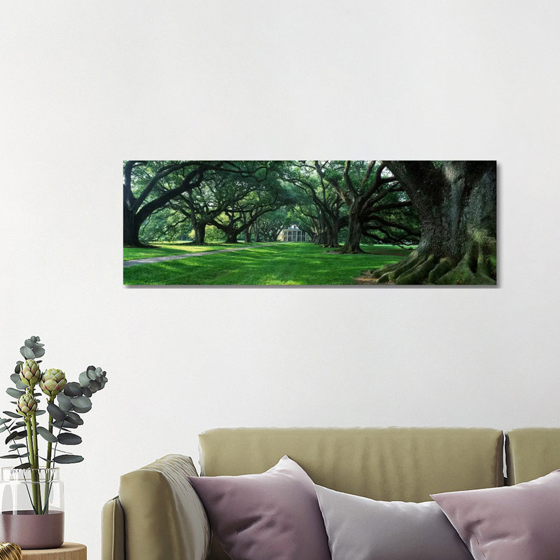 USA, Louisiana, New Orleans, Oak Alley Plantation, Plantation Home Through Alley of Oak Trees 1 Piece Wrapped Canvas Panoramic Wall Art