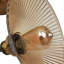 Advithi Glass Armed Sconce