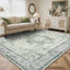Tapis oriental performance Roehit-1848268753-1865515422