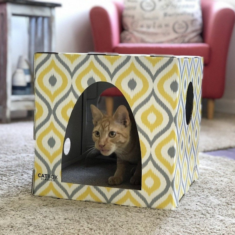 Meow Yellow Cardboard Cat House with Replaceable Scratcher