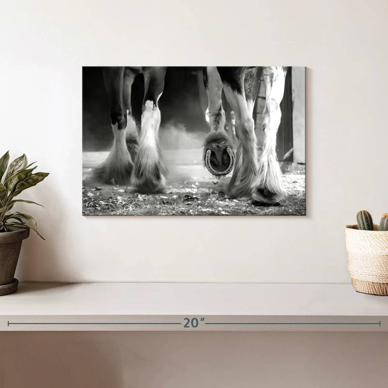 Pattes de cheval Brampt Clydesdale, H 8 po x l 12 po