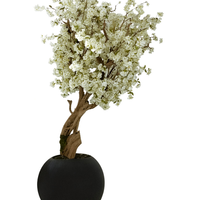 White Cherry Blossom Tree In 30" Matte Black Globe Planter, 90" H x 48" W