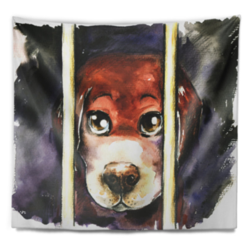 Tapisserie Sad Dog in Animal Shelter, H 32 po x l 39 po