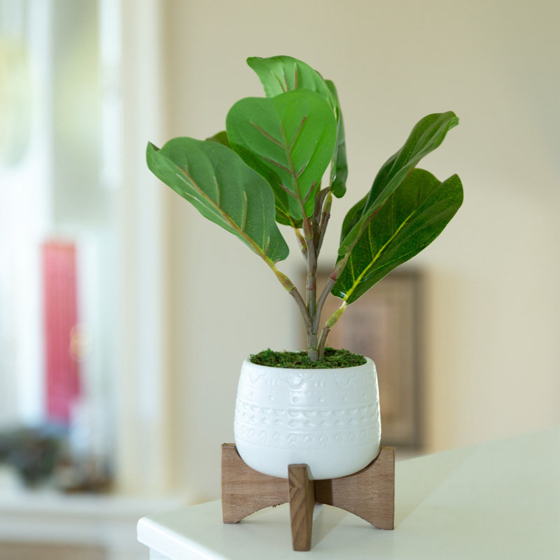 12.75'' Faux Fiddle Leaf Fig Tree in Pot