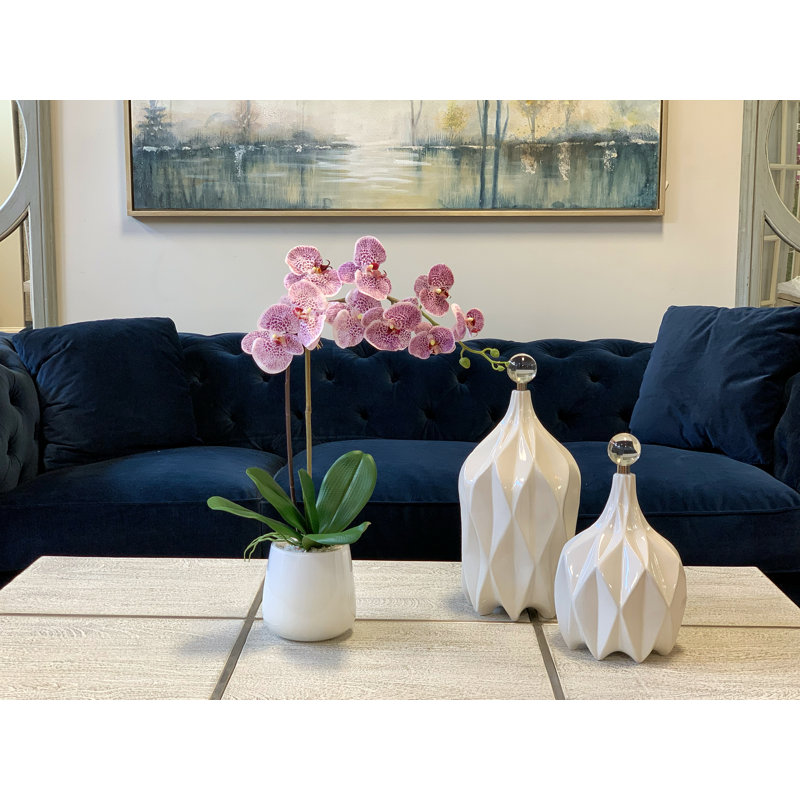 Phalaenopsis Orchid Arrangement