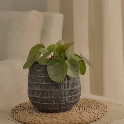 Handmade Pot Planter